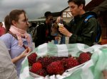 Rasberries in Colonial Tovar Venezuela
