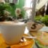 Coffee in Curacao