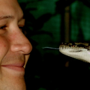 snake in the face Australia 2005