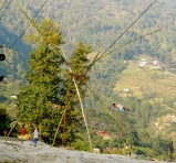 bamboo swings set up all over Kathmandu.