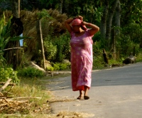 Edge of the road in Chitwan, Nepal